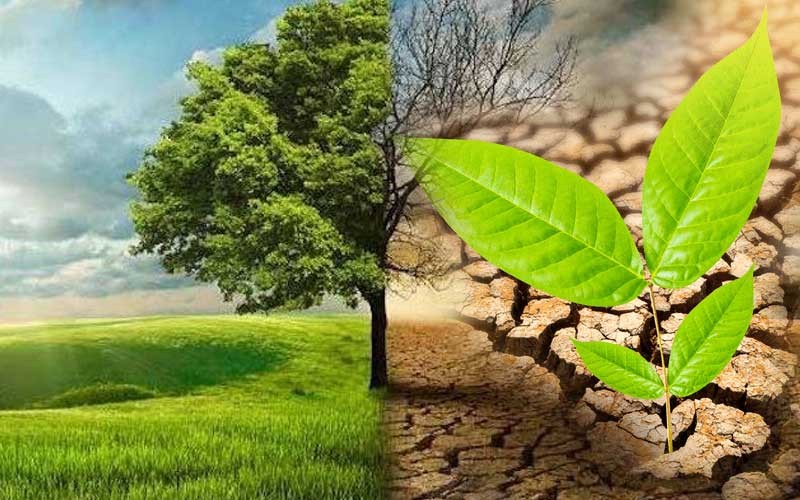 Climate change